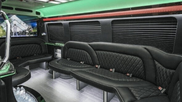 hillsboro 14 passenger sprinter limousine inside